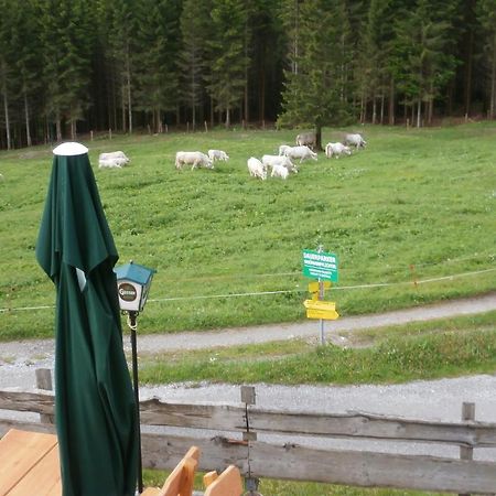 Gasthof Untere Valentinalm Hotel Plöcken Esterno foto