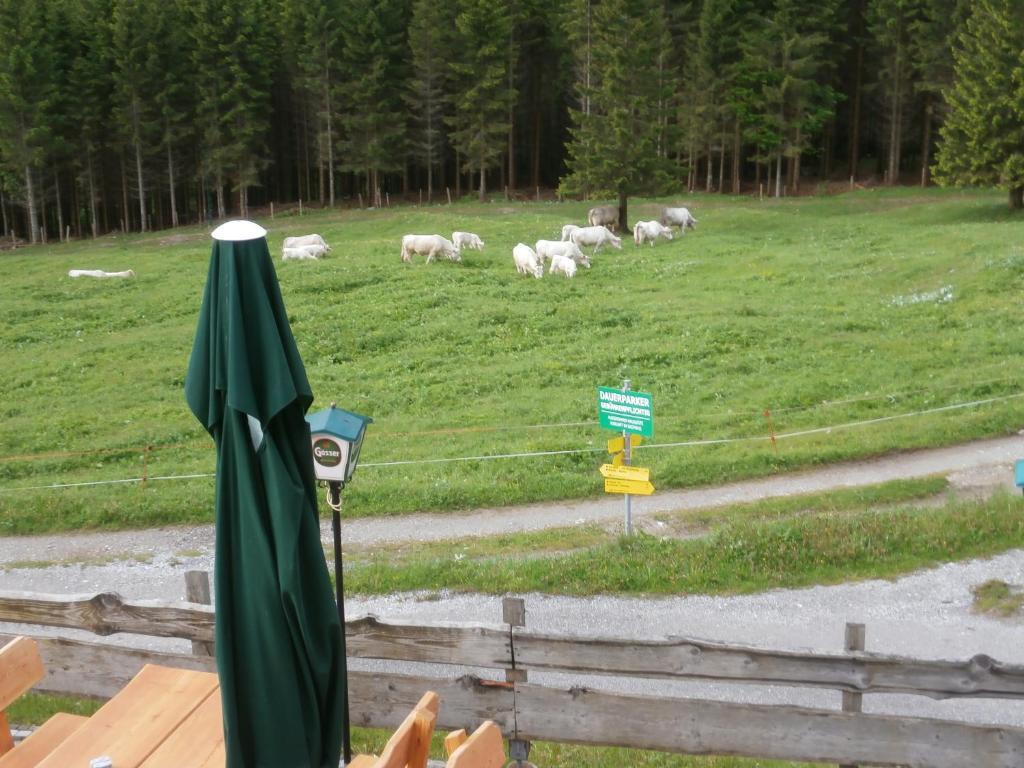 Gasthof Untere Valentinalm Hotel Plöcken Esterno foto
